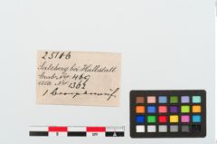 Etiketten zu Bronzehelmnietknauf (NHMW-PRAE-025106)